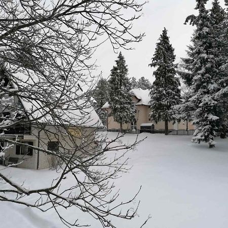 Villa Kuca Za Odmor Zlatibor Exterior foto