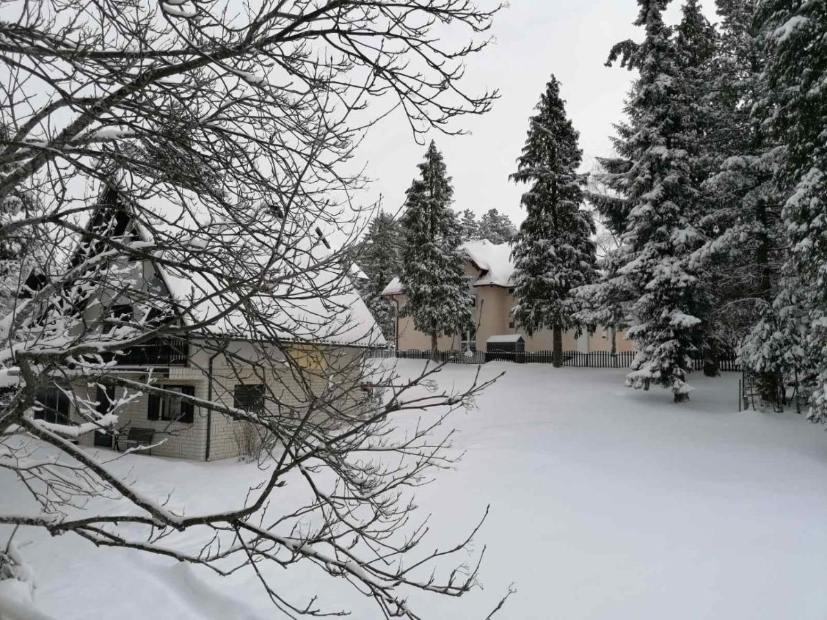 Villa Kuca Za Odmor Zlatibor Exterior foto