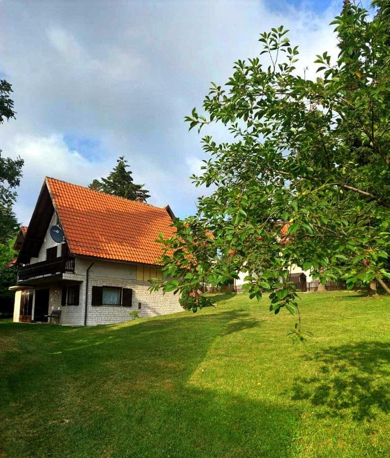 Villa Kuca Za Odmor Zlatibor Exterior foto