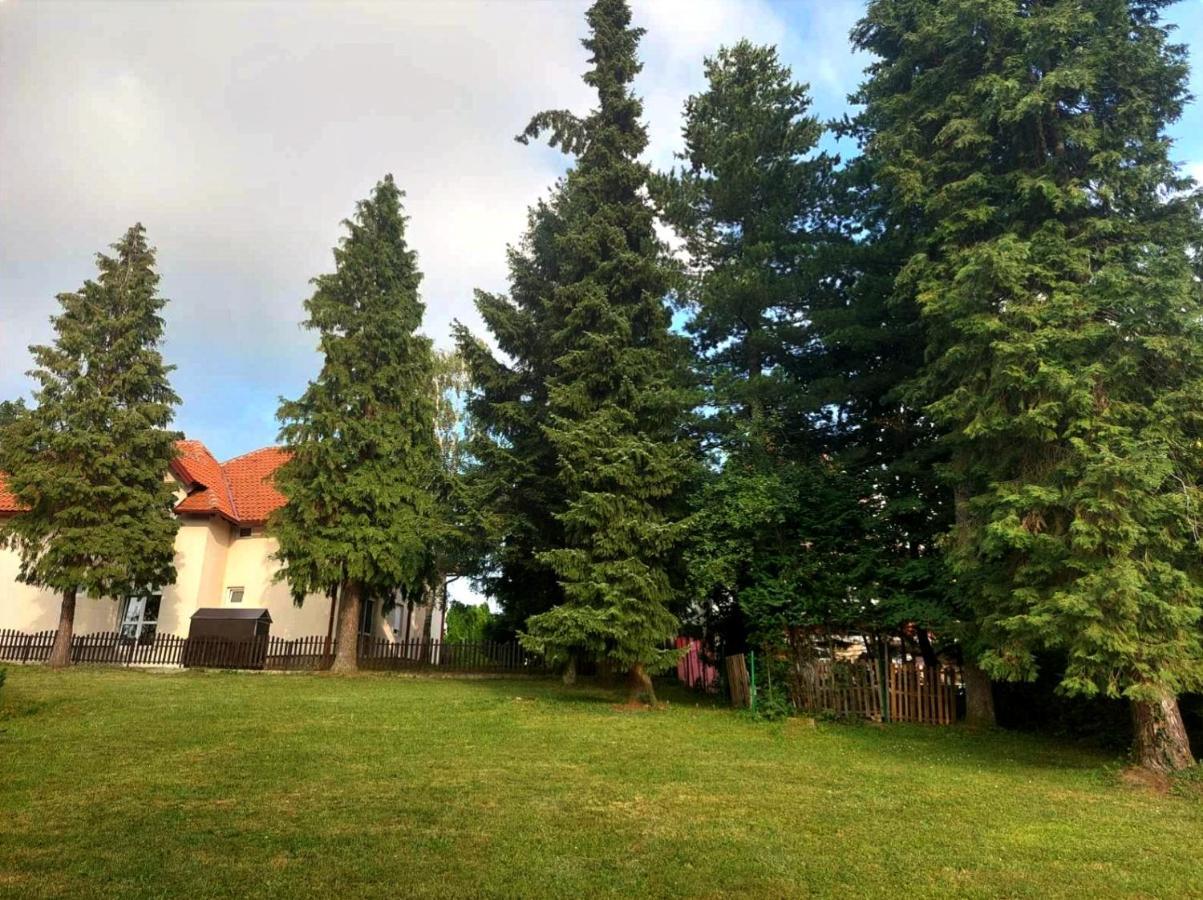 Villa Kuca Za Odmor Zlatibor Exterior foto